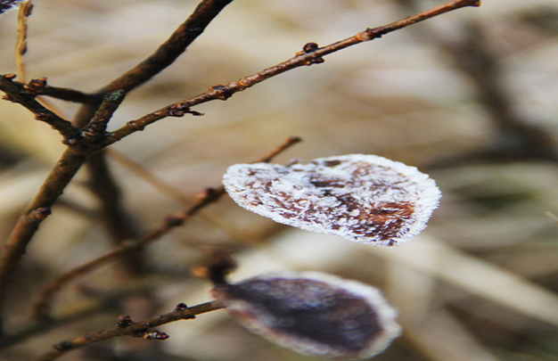 /uploads/image/2025/11/17/434ccc8669b84b7947e5786d581c8013.jpg 5.jpg