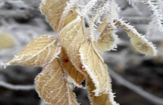 /uploads/image/2025/11/17/5bc06845bd10eb175a29698bdb5ab053.jpg 6.jpg