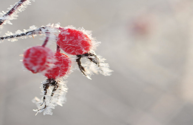 /uploads/image/2025/11/17/7bc3301de711c0504cb4e357eb6cc937.jpg 1.jpg