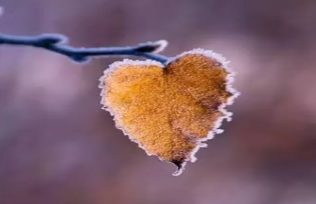 /uploads/image/2025/11/17/a6d981b265224ea20166f1303720eea4.jpg 2.jpg