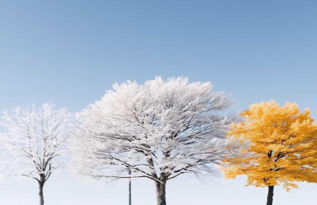 /uploads/image/2025/11/17/a9e995bd50055708d03fd23a89b118b0.jpg 3.jpg