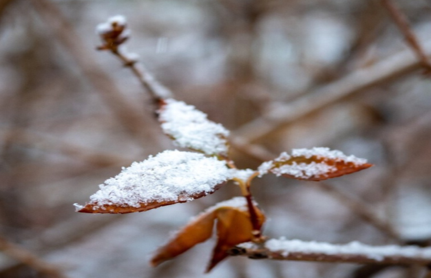 /uploads/image/2025/11/17/b3edbea07b7e2b2fc23f14ae73053cf4.jpg 7.jpg