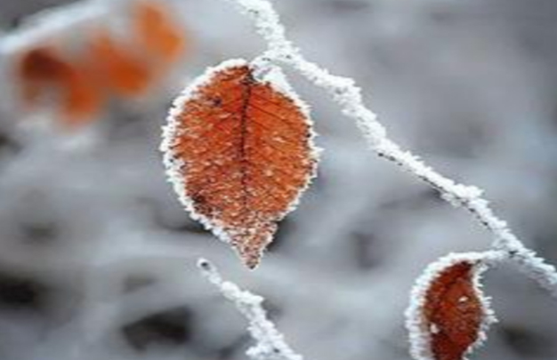 /uploads/image/2025/11/17/f7a5f070ef437b542f02cb86d338fd3f.jpg 8.jpg