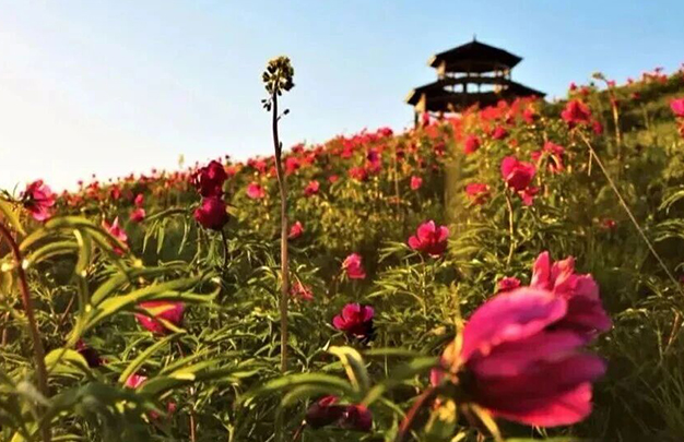 /uploads/image/2025/11/18/2f2d186320f115183c08a325670d38e9.jpg 5.jpg