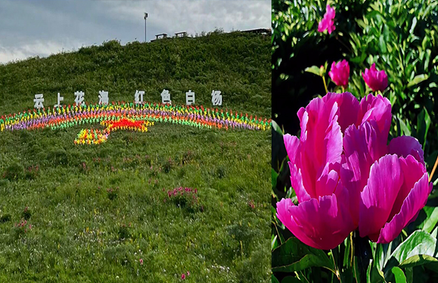 /uploads/image/2025/11/18/4f974598732c7e3cce3f79257879a4e2.jpg 7.jpg