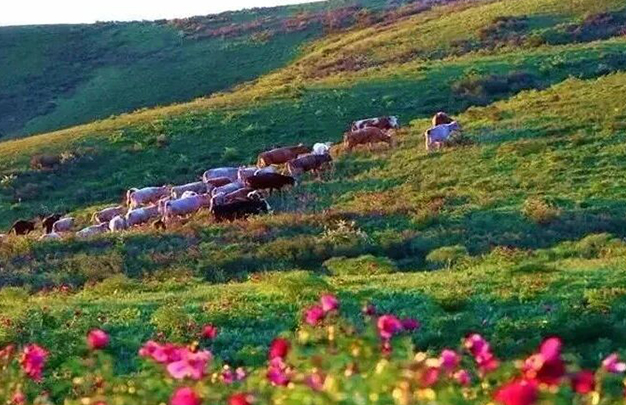 /uploads/image/2025/11/18/6e55da83d4e72b5dcadebb0e059c0347.jpg 3.jpg