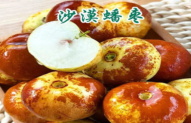 /uploads/image/2025/11/18/95e7a54481a77afbfdce4c68399099b8.jpg 1.jpg