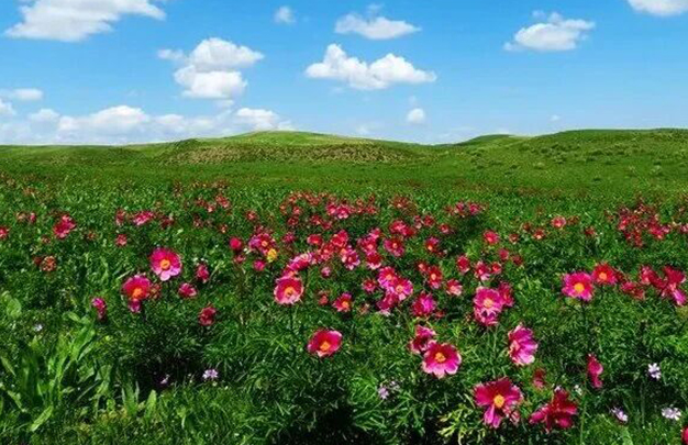 /uploads/image/2025/11/18/b3067ba5a8791e981a035e17eaacbf05.jpg 1.jpg