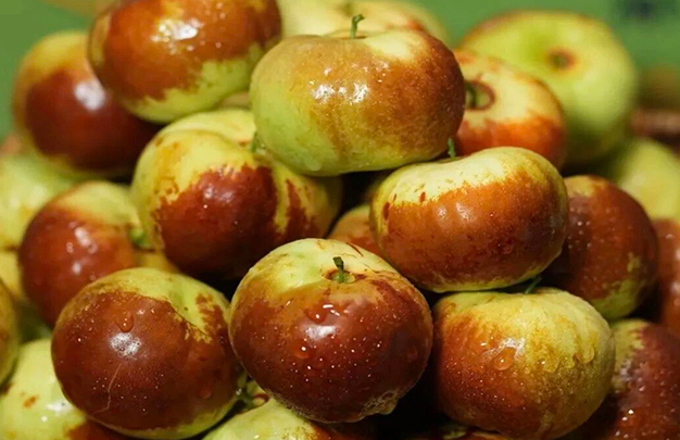 /uploads/image/2025/11/18/b98f15159aaa73b8e61465a0523f2a8d.jpg 6.jpg