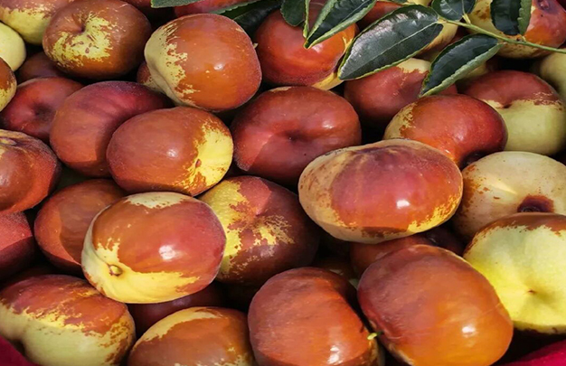 /uploads/image/2025/11/18/cac1ef66f6a43bc5769a742cd6a7114b.jpg 2.jpg