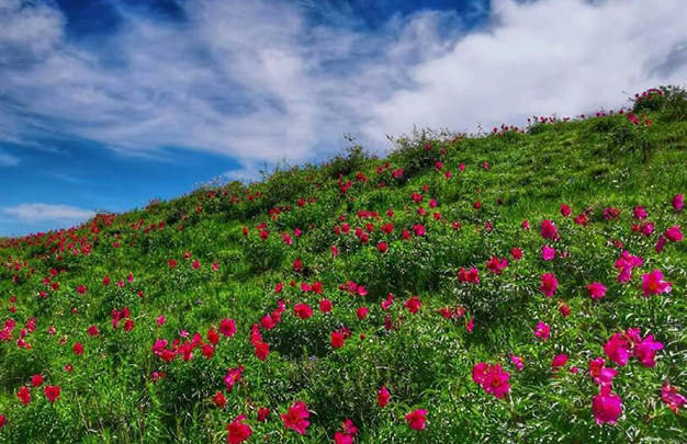 /uploads/image/2025/11/18/eb09ab12e18f13cf4c40db45333be4bc.jpg 4.jpg