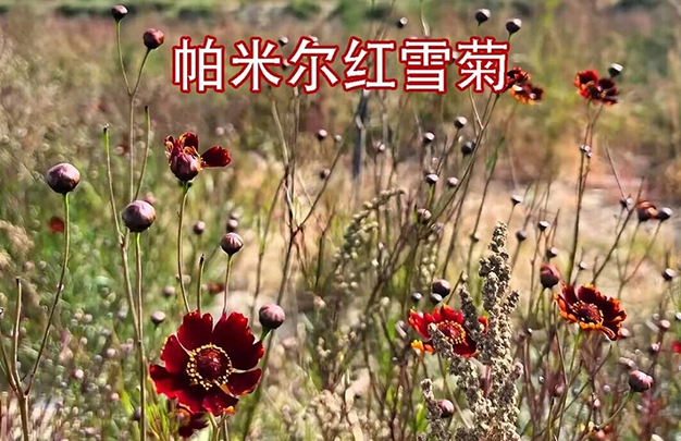 /uploads/image/2025/11/19/06a465c35b894f91b5fe0a2aa8162d2d.jpg 2.jpg