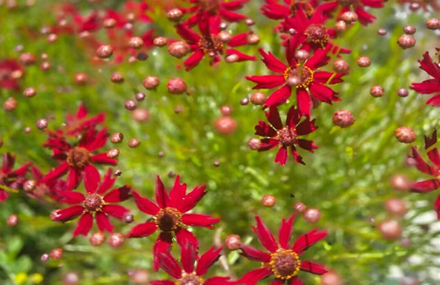 /uploads/image/2025/11/19/09001c4903f497da55d656b970597f72.jpg 1.jpg