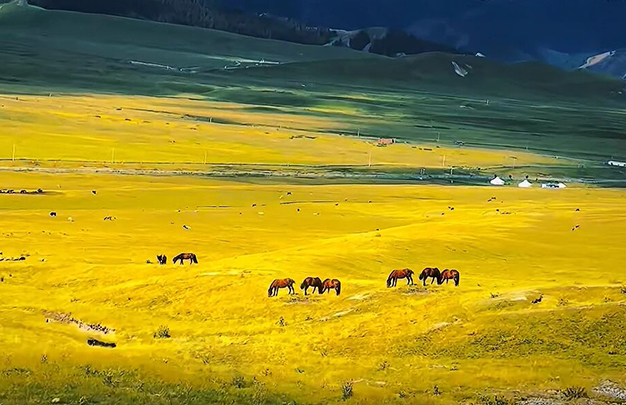 /uploads/image/2025/11/19/16280c609b7ffca63e13ab23d26e220f.jpg 6.jpg