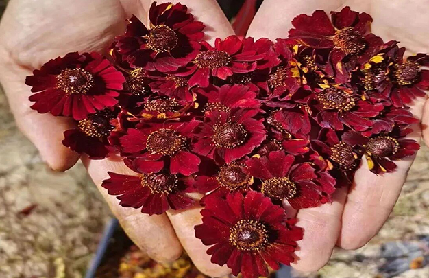 /uploads/image/2025/11/19/1cceb3e29c65c59cb9dee80051026333.jpg 4.jpg