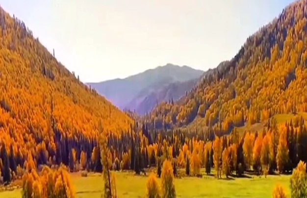 /uploads/image/2025/11/19/210e74c51a884b3334758f45f1db2468.jpg 7.jpg