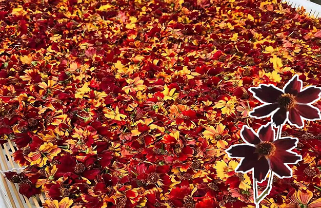 /uploads/image/2025/11/19/24c3523768c2e72c8f797ddb3ebbe3ec.jpg 7.jpg