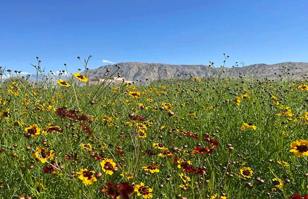 /uploads/image/2025/11/19/7eb9e8a1be164c08a1ddb15432e6400d.jpg 8.jpg