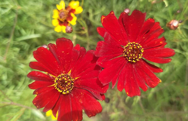 /uploads/image/2025/11/19/ab4680972312b9f843653372ffd0a5b6.jpg 3.jpg