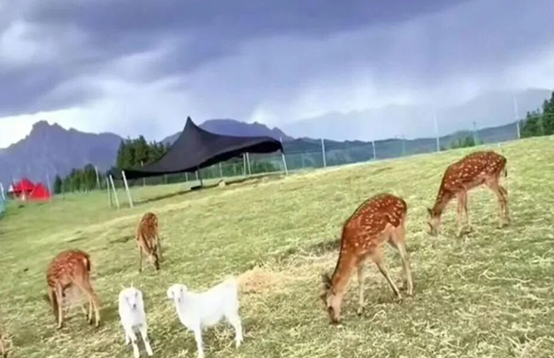 /uploads/image/2025/11/19/b17dc80521f93edd16b47cc362996821.jpg 2.jpg