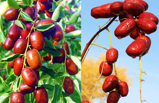 /uploads/image/2025/11/19/e98fe30e0d538455cb07741fa1f9590f.jpg 修 3.jpg