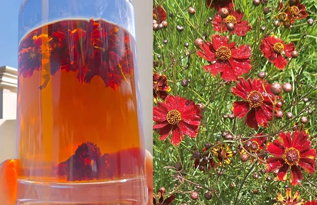 /uploads/image/2025/11/19/f6f8afda46dace881eb381c3a8385754.jpg 6.jpg