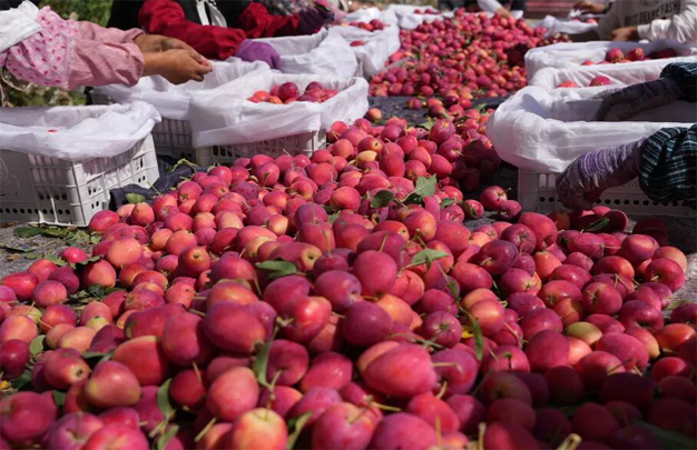 /uploads/image/2025/11/21/17dcdbd04285474b2338d8ff42099004.jpg 修 5.jpg