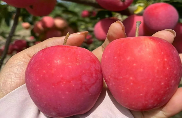 /uploads/image/2025/11/21/289aa32b196633fb95c3c70072076558.jpg 修 3.jpg