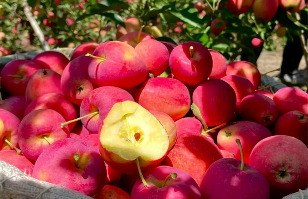 /uploads/image/2025/11/21/c4fb4457c0494be6be7efbdceb0dbfed.jpg 修 2.jpg