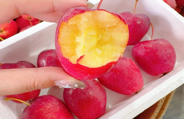 /uploads/image/2025/11/21/cdadca4989674f6d33b2cd87df32a3a2.jpg 修 4.jpg