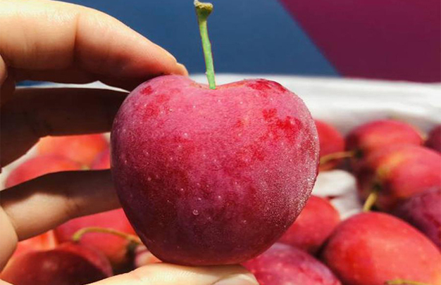 /uploads/image/2025/11/21/d83a51dd5c1afcba1ecf5cc6788969ca.jpg 修 1.jpg