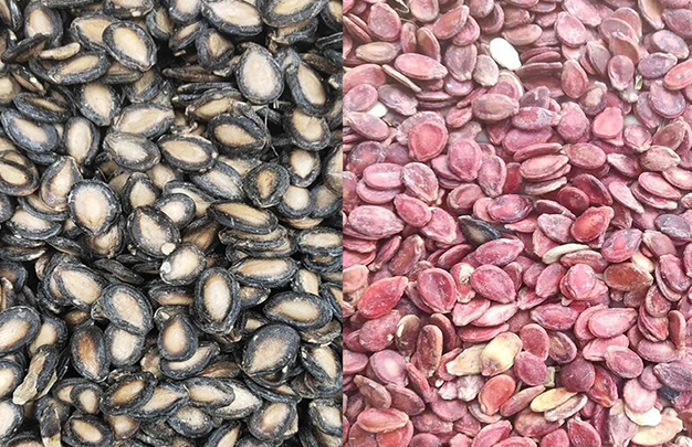 /uploads/image/2025/11/24/33880f42618bf20350c75c4f17f7e0fe.jpg 4.jpg