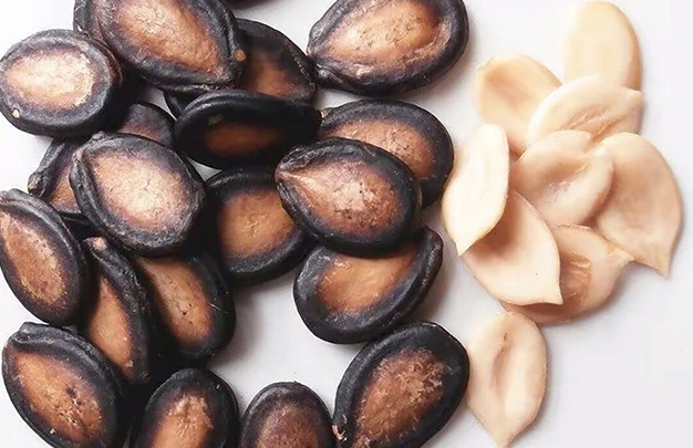 /uploads/image/2025/11/24/3973bf9bc1c936c36e2fd14e49253c4e.jpg 3.jpg