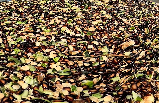 /uploads/image/2025/11/24/4c3d68917be81ee8219f54f696552cae.jpg 5.jpg