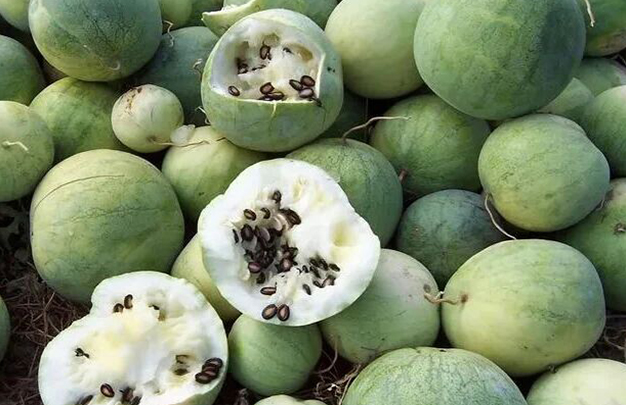 /uploads/image/2025/11/24/b9b819c3564eebae090c7c570b76d7dc.jpg 2.jpg