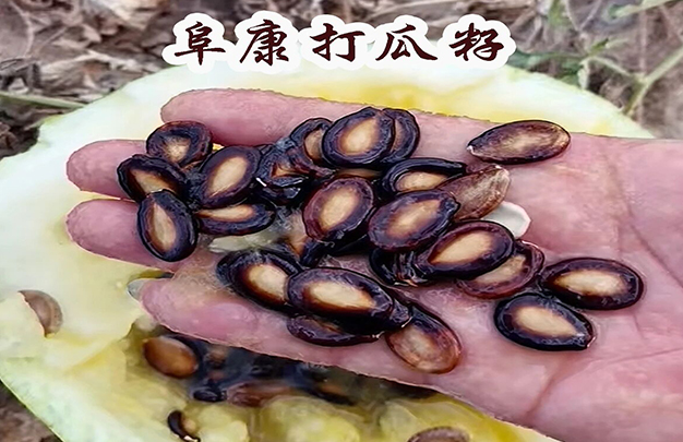 /uploads/image/2025/11/24/f52520f30e8a4ee9b038a0d373b8f750.jpg 1.jpg