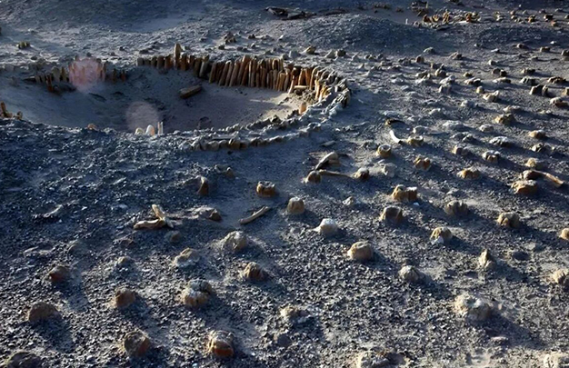 /uploads/image/2025/11/25/e96ca3afe30ae61d0c45da3e7129c293.jpg 4.jpg