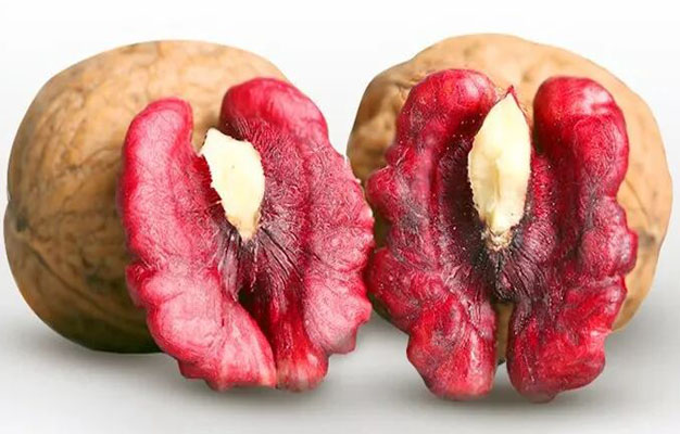 /uploads/image/2025/11/26/8ac13558fe58d6981e67263ea56e76d1.jpg 修1.jpg