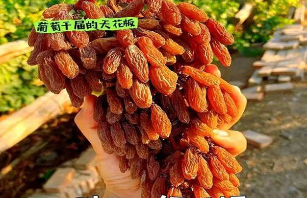 /uploads/image/2025/11/27/5c60e84127368b34da0af2f24414c6ab.jpg 修1.jpg