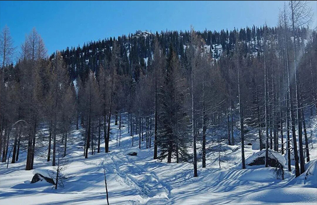 /uploads/image/2025/11/28/af5e1fdbc16e781f10ccb7326d687b65.jpg 1.jpg