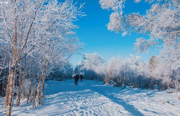 /uploads/image/2025/11/28/db3e8e6ed7647540910503c634e0bd92.jpg 修图5.jpg