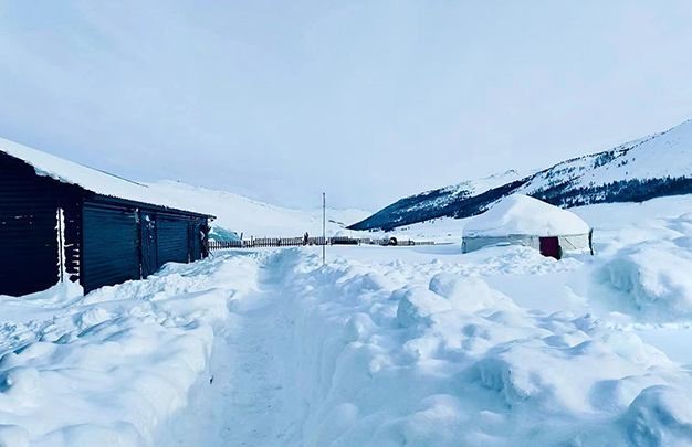 /uploads/image/2025/11/28/efc75db75e207afa39e46e21965fc922.jpg 5.jpg