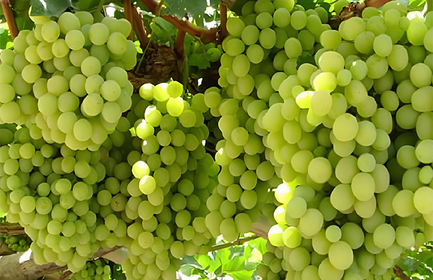 /uploads/image/2025/12/01/ceb5cdd04547e92069fed5f30cd8fcc8.jpg 008.jpg