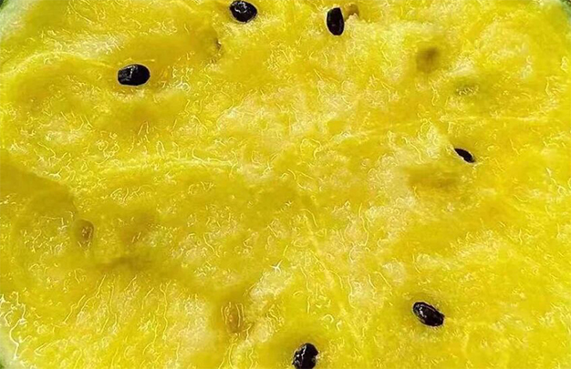 /uploads/image/2025/12/06/31665b443b909a997dd4c799f1e9509e.jpg 1.jpg