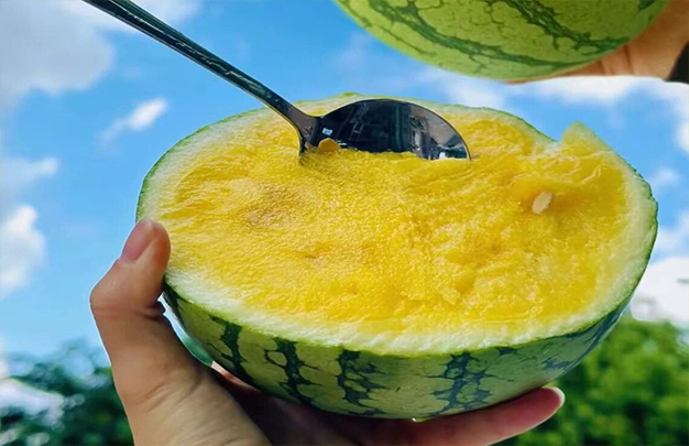 /uploads/image/2025/12/06/55b1eedd009c91199f70fa9ada0b226f.jpg 2.jpg