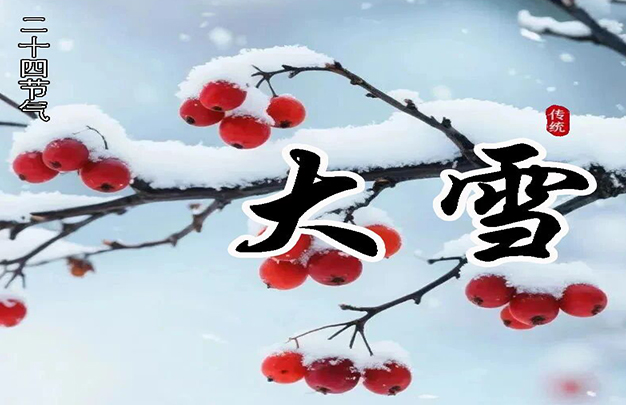 /uploads/image/2025/12/08/325c616289e329c776041dce406d6d59.jpg 5.jpg