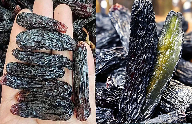 /uploads/image/2025/12/09/aec0e343fb0dba0d096839f2e2dadc4c.jpg 3.jpg