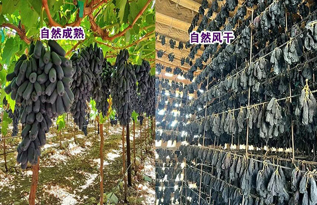 /uploads/image/2025/12/09/fbbae880cde3cc35edea98ee7dcddb46.jpg 2.jpg