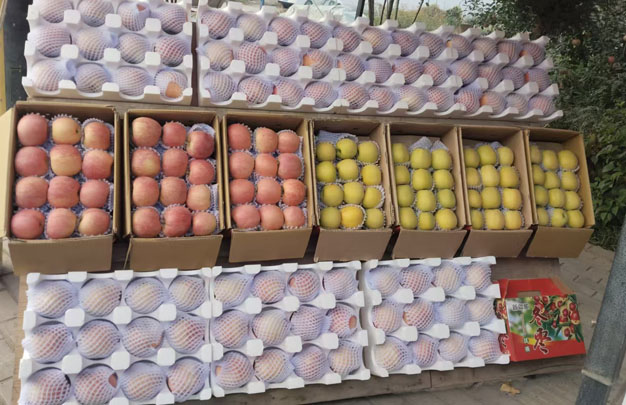 /uploads/image/2025/12/10/201c297dc916dc0297963a52108dc955.jpg 修 15.jpg