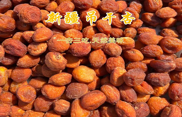 /uploads/image/2025/12/11/7e4a5daf0dd1d069bbd5af3cbd2d826d.jpg 2.jpg